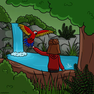 Oasis